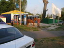 Файл=P1010112.JPG
Объём=117KB
Размеры=1024x768
Дата=Дек 10, 2007 P1010112.JPG